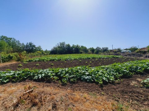 For sale renovated one-storey house in the village of Krumovo Gradishte, Karnobat municipality