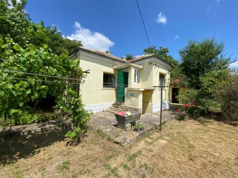 House 4 rooms 1000 m², Geshanovo, Bulgaria