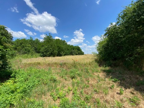 House 4 rooms 1000 m², Geshanovo, Bulgaria