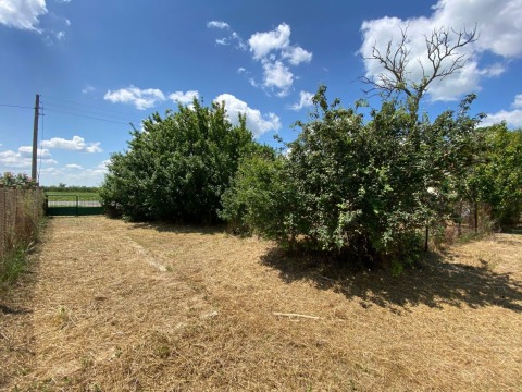 House 4 rooms 1000 m², Geshanovo, Bulgaria