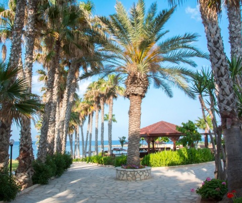 Large Luxury Eco villa 4+1 with swimming pool near the sea in Protaras