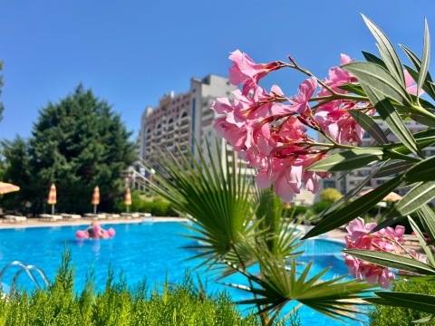 Spacious apartment in Sunny Beach!