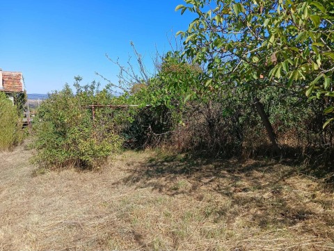 Villa for sale in the village of Medovo - a cozy escape in nature