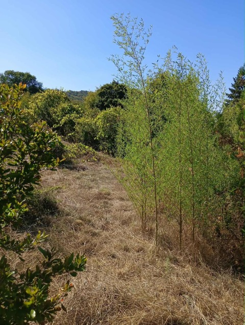 Villa for sale in the village of Medovo - a cozy escape in nature