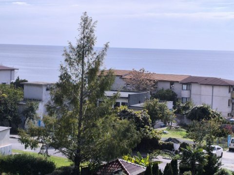 Three-room apartment with sea view