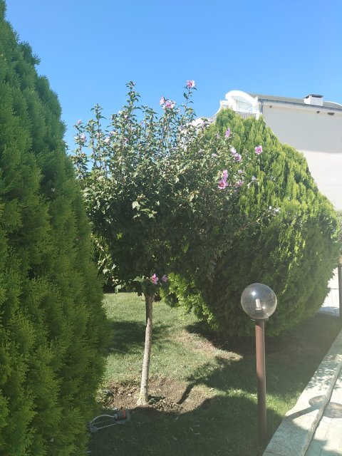 Двухкомнатная квартира в комплексе Сансет Кошарица — уют, спокойствие и удобство