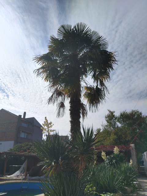 Хотел/Ресторант 1000 m², с.Равда, България