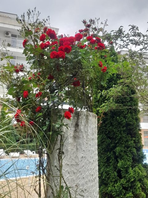 Апартамент тристаен 96 m², Несебър, Слънчев Бряг, България