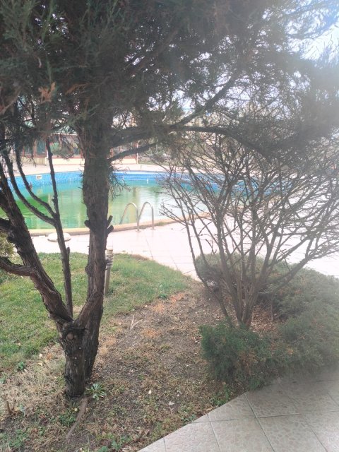 Flat studio apartment 50 m², Nesebar, Sunny Beach, Bulgaria