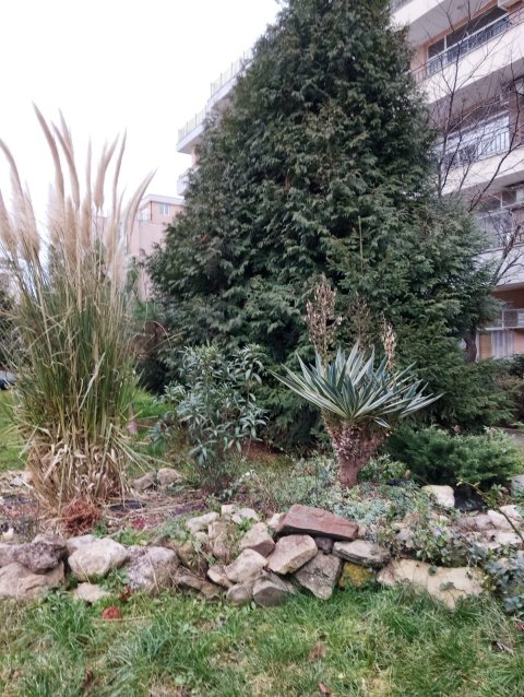 Меблированная студия в круглогодичном комплексе «Гранд Камелия» — Солнечный Берег.