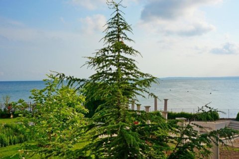 1st row | 2 bedrooms 67 m² | Installments up to 5 years | Privilege Fort Beach