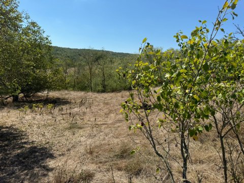 Старый дом с большим двором в селе Белила, муниципалитет Средец.