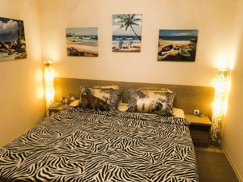 Fully furnished and equipped 2-bedroom apartment for sale in the Kamelia Garden complex