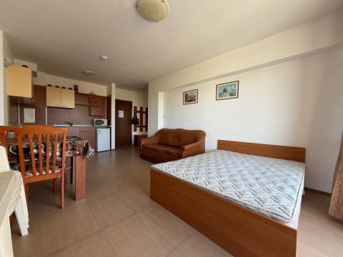 One-room apartment in Grand Camellia