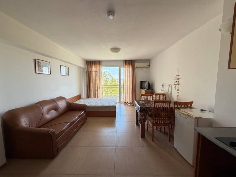 One-room apartment in Grand Camellia