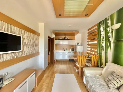 We offer for sale a one-bedroom apartment on Sunny Beach!