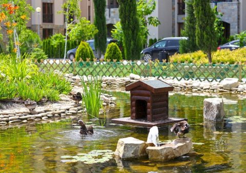 One-bedroom apartment in Cascadas 15 with a unique pool view