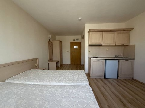 Studio in Avalon without terrace