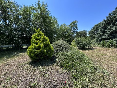Beautiful Renovated Country House with Large Garden in Sirakovo, Dobrich Region