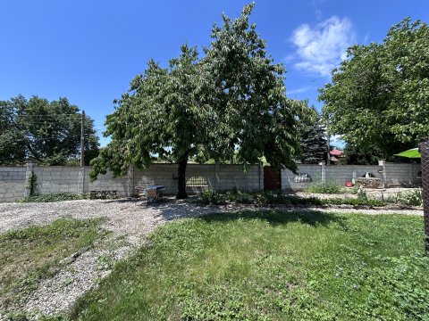 Beautiful Renovated Country House with Large Garden in Sirakovo, Dobrich Region
