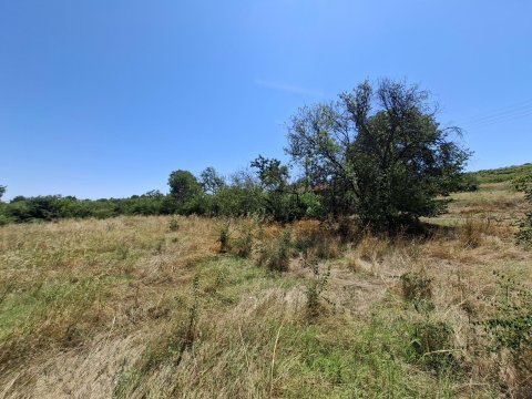 I am selling 3-yard plots of land in the village of Polsko Padarevo, municipality of Nova Zagora, region of Sliven, at a bargain price!