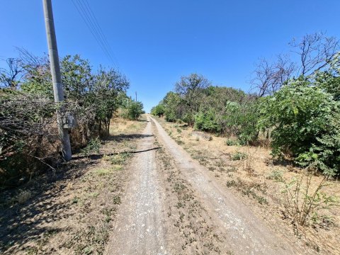 I am selling 3-yard plots of land in the village of Polsko Padarevo, municipality of Nova Zagora, region of Sliven, at a bargain price!