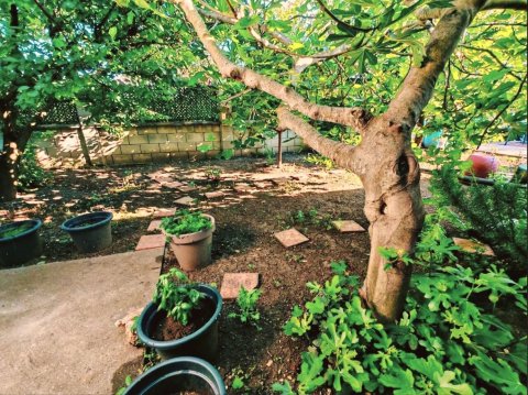 Detached house after renovation, 10 minutes from the sea – Hadji Dimitar village