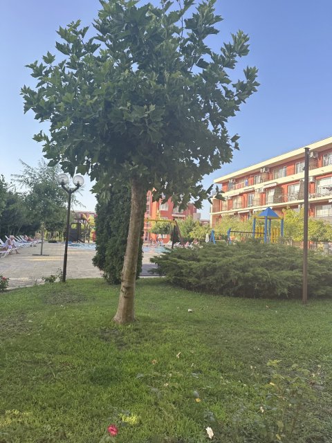 Spacious one-bedroom apartment with mountain views in the Holiday Fort Club complex, Sunny Beach