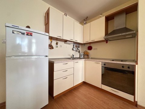 One-room apartment in the Garden of Eden