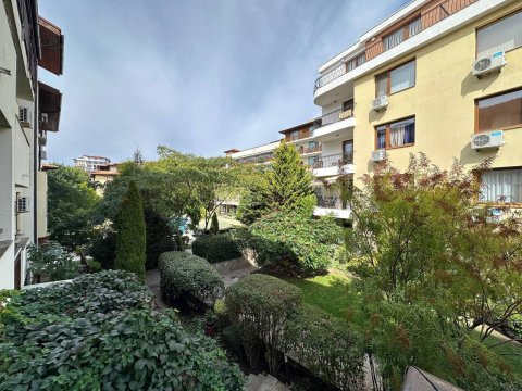 One-room apartment in the Garden of Eden