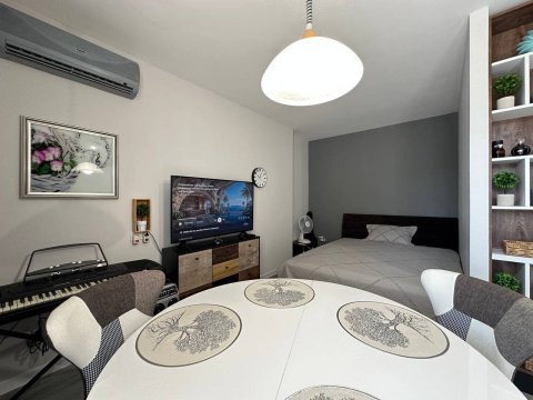 One-room apartment in Summer Dreams
