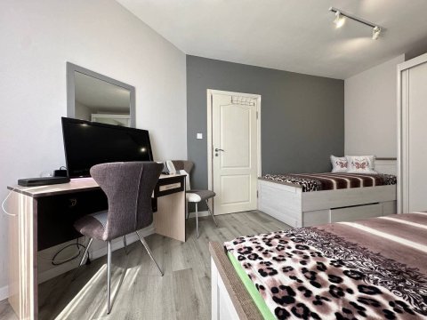 One-room apartment in Summer Dreams