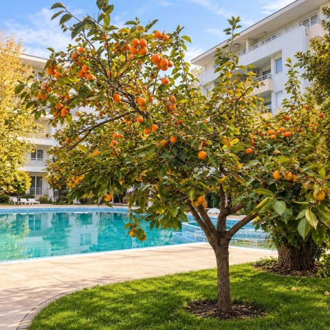 Spacious one-bedroom apartment near the beach in Sunny Beach!